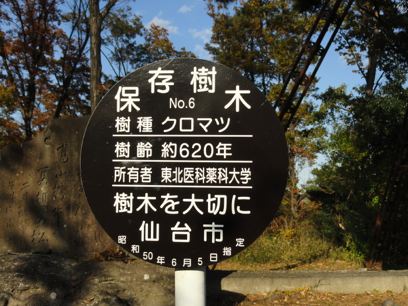 img0013.jpg