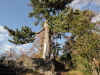 img0011.jpg