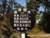 img0013.jpg