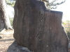 img0015.jpg