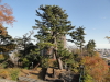 img0019.jpg