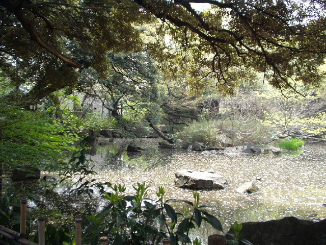 img0011.jpg