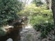 img0007.jpg