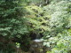 img0009.jpg