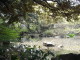 img0011.jpg
