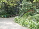img0014.jpg