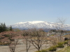 img0005.jpg