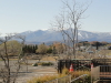 img0005.jpg