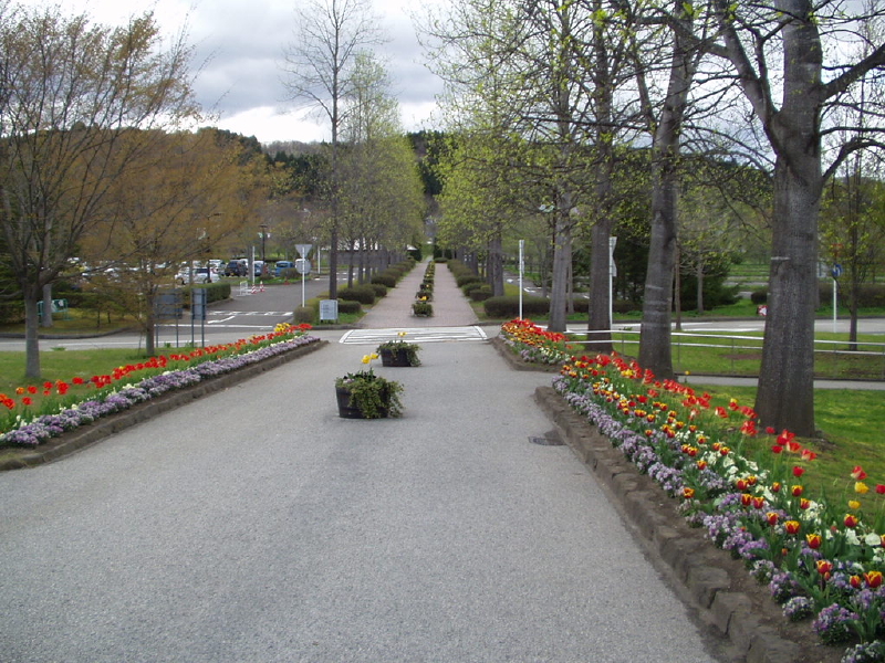 img0000.jpg
