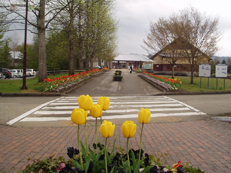 img0002.jpg