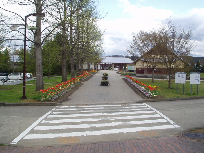 img0003.jpg