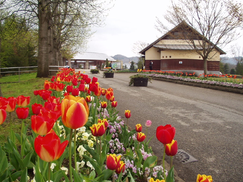 img0005.jpg