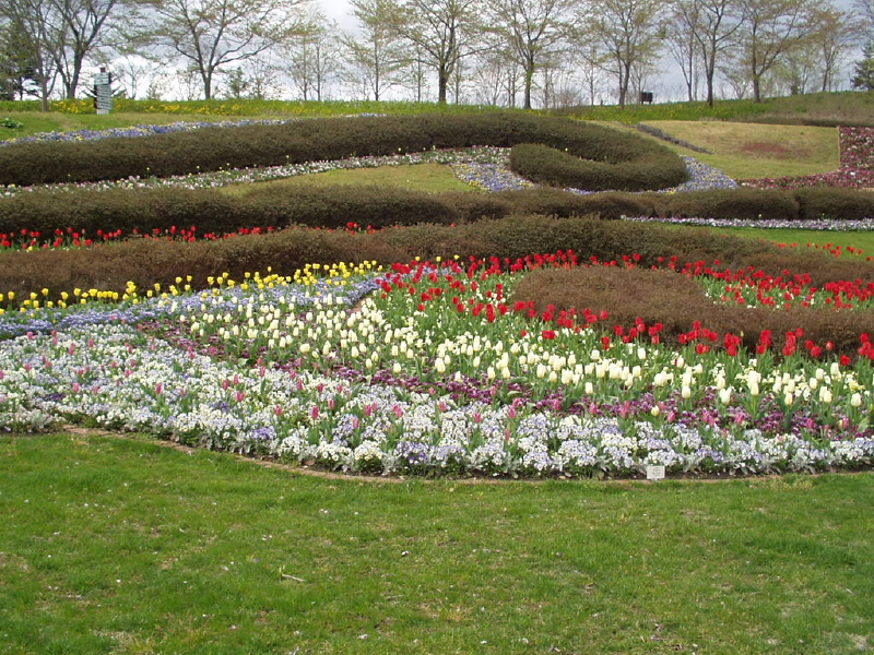 img0016.jpg