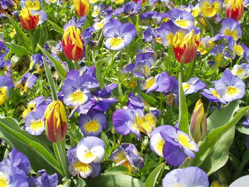 img0017.jpg