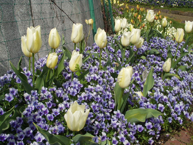 img0020.jpg