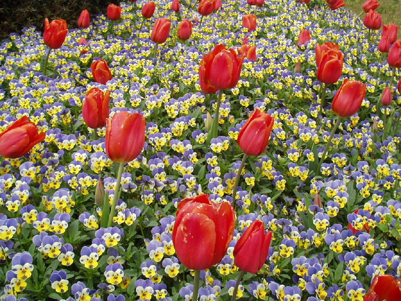 img0021.jpg