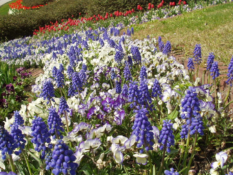 img0024.jpg