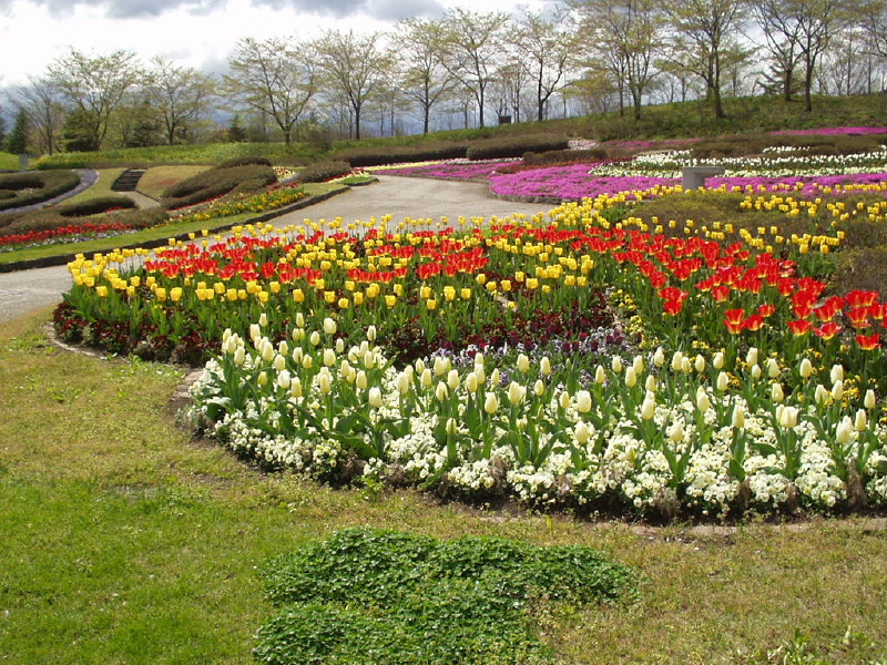 img0026.jpg