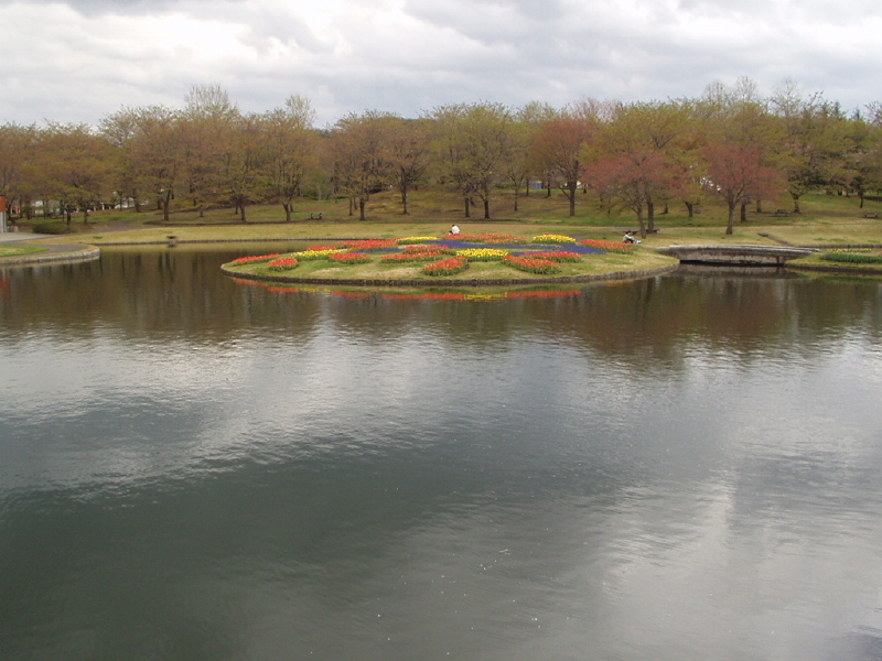 img0040.jpg