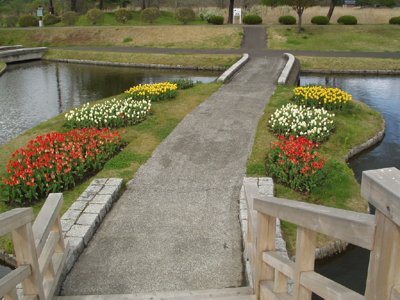 img0041.jpg