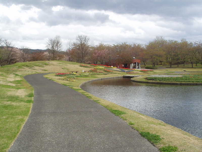 img0042.jpg