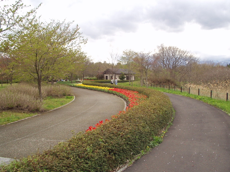 img0045.jpg