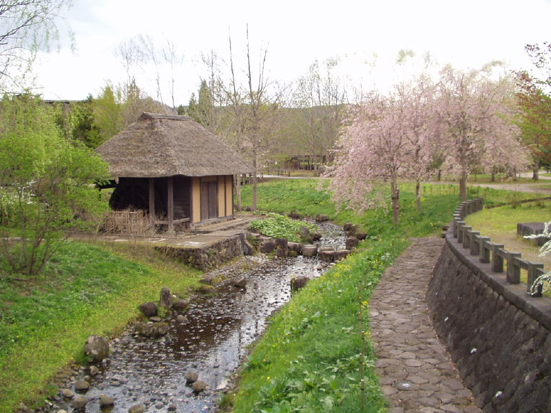 img0046.jpg