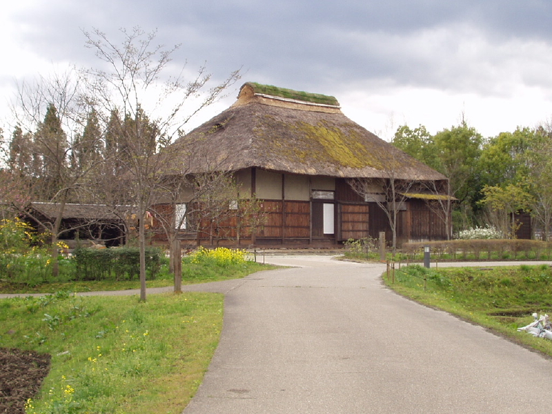img0048.jpg