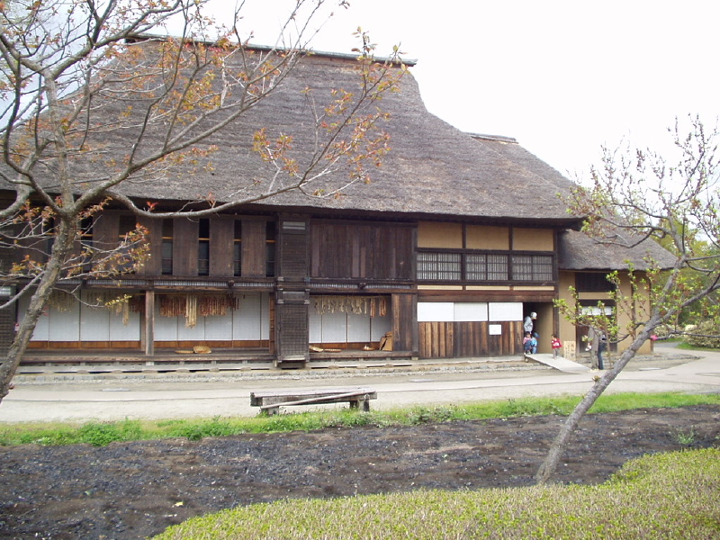 img0050.jpg