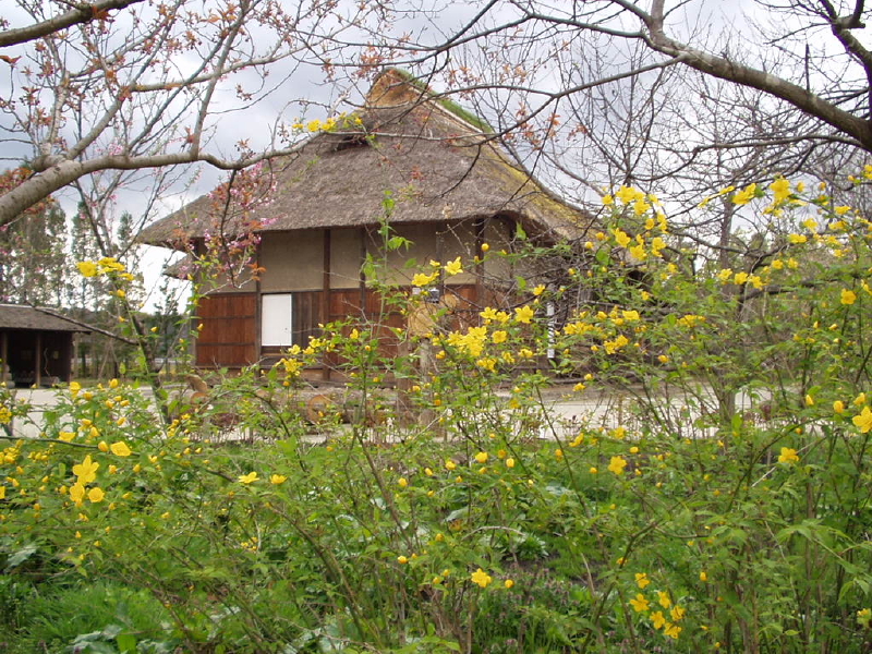 img0051.jpg