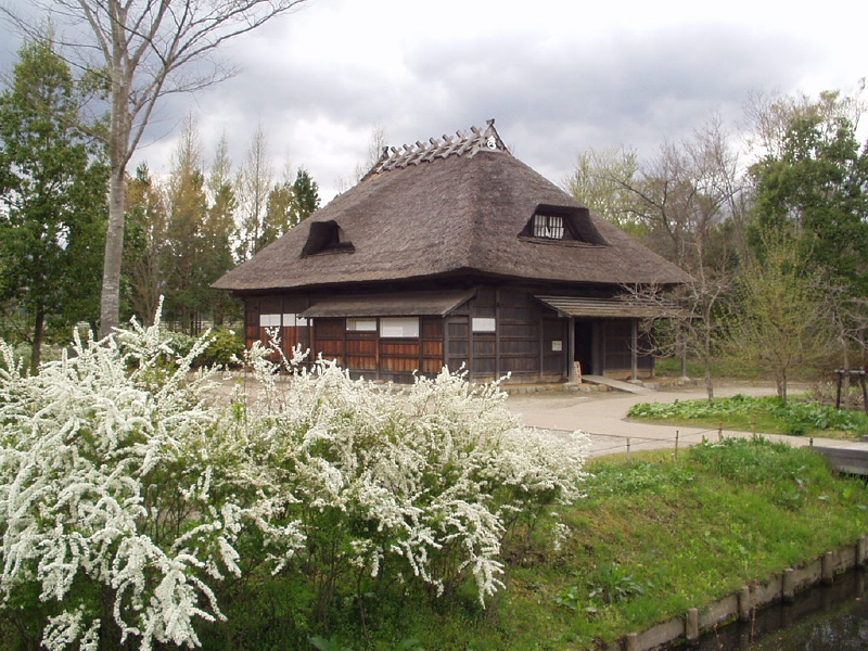 img0053.jpg