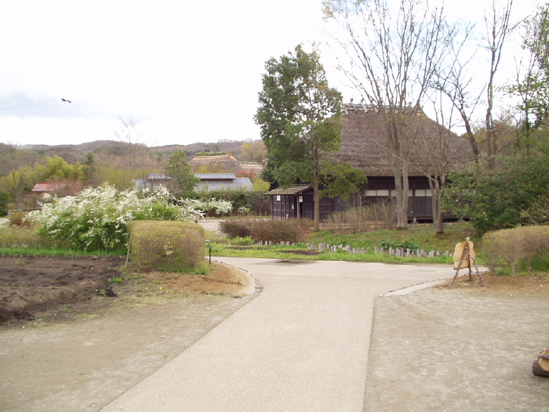img0055.jpg