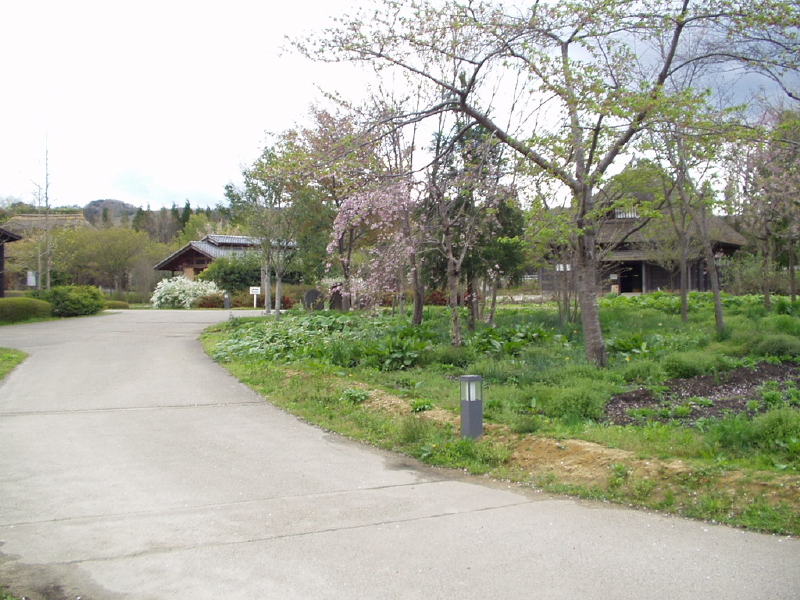 img0056.jpg