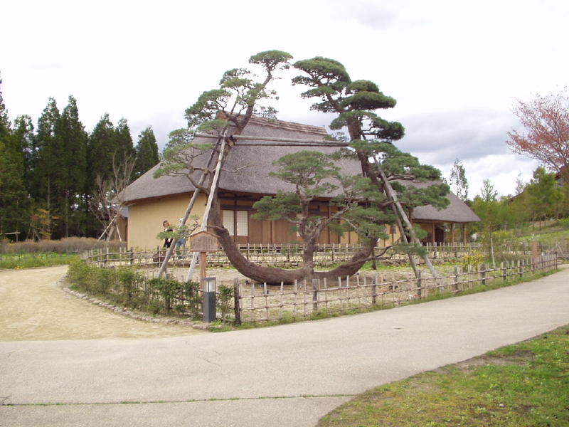 img0057.jpg