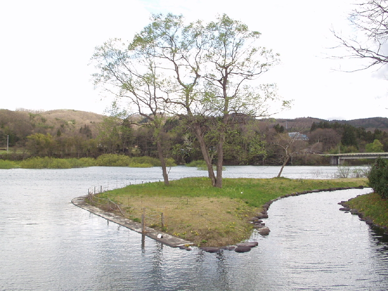 img0061.jpg