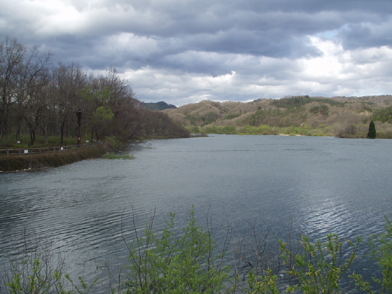 img0062.jpg