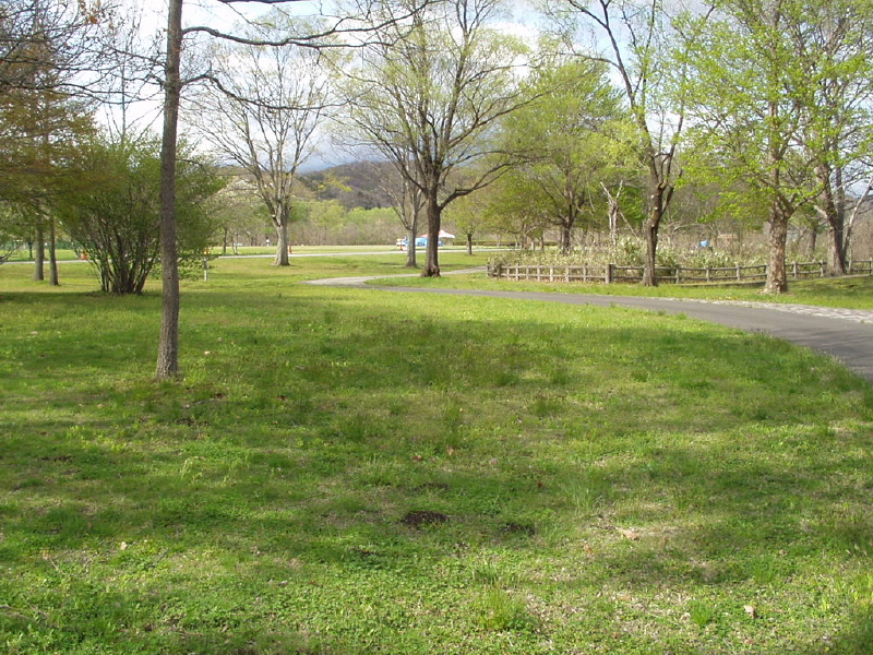 img0064.jpg
