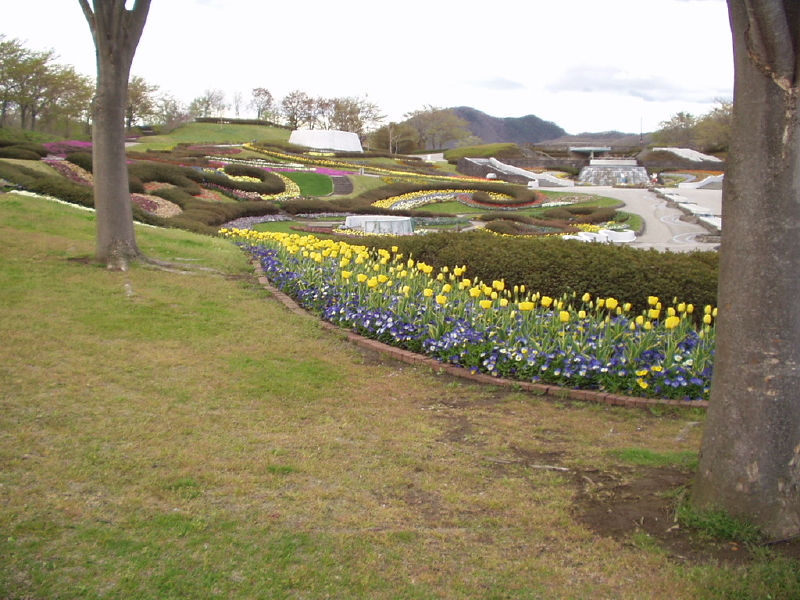 img0069.jpg