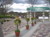 img0007.jpg