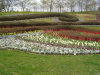 img0016.jpg