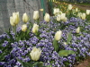 img0020.jpg