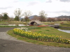 img0039.jpg