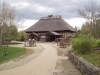img0047.jpg