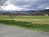 img0065.jpg