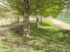 img0066.jpg
