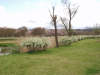 img0067.jpg
