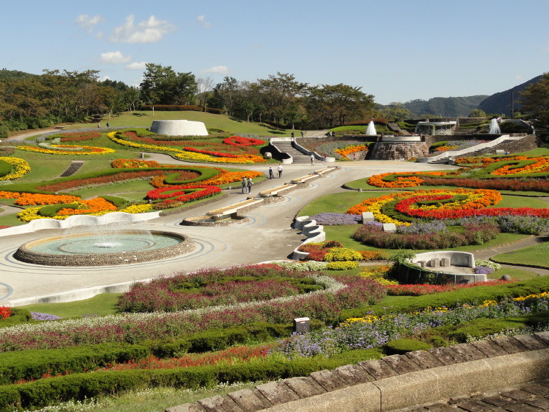 img0006.jpg