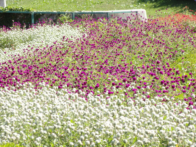 img0014.jpg