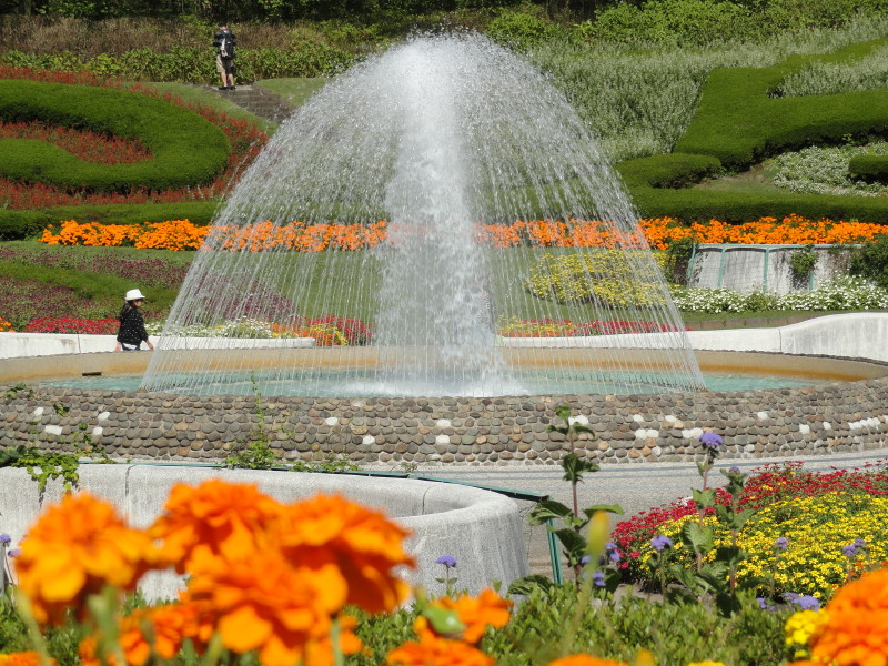 img0027.jpg