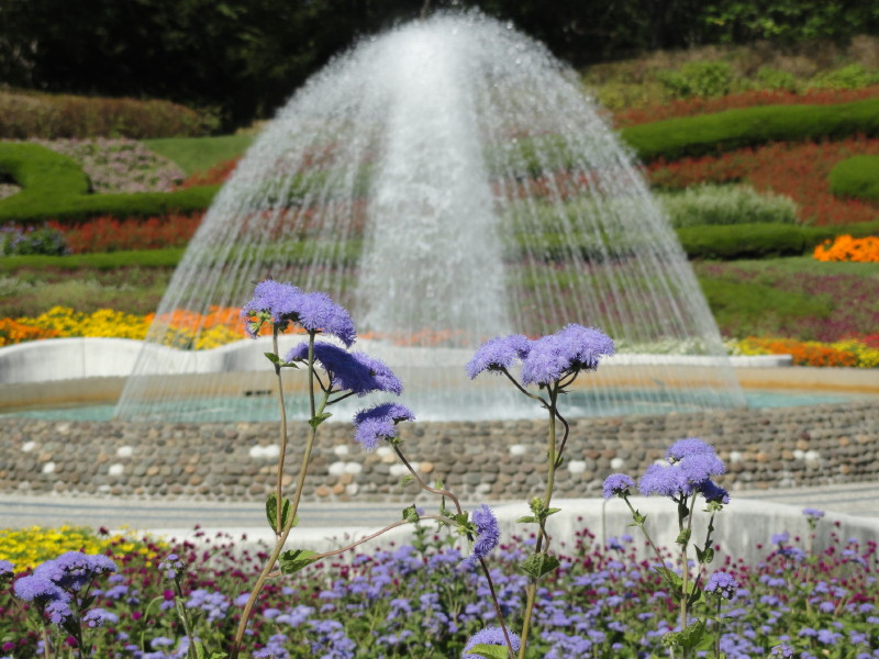 img0030.jpg